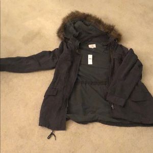 Women’s Loft Fall Jacket